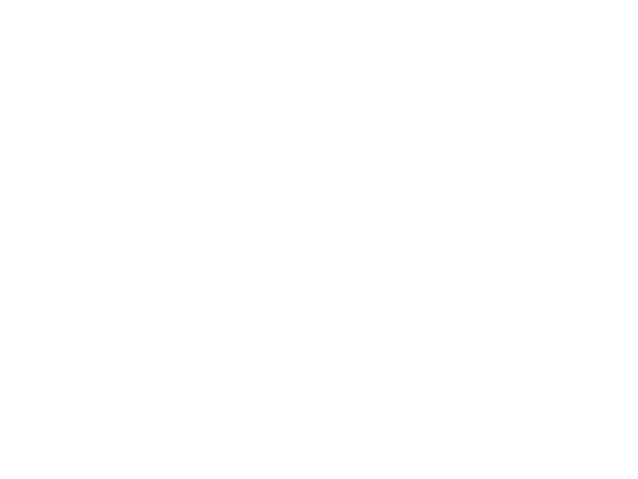 Wella professional hair products used at Edu Miracle Hair NY